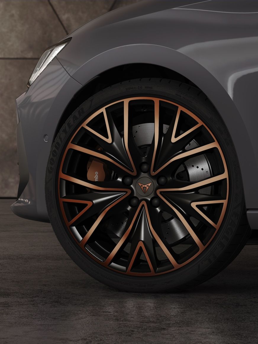 CUPRA Leon SP Kombi Bremsen